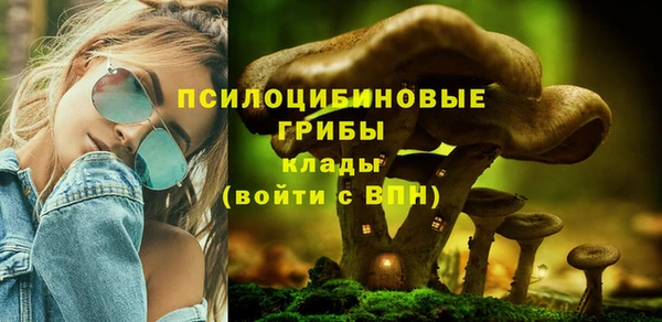 метадон Армянск