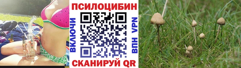 Галлюциногенные грибы ЛСД  где купить наркотик  Гороховец 
